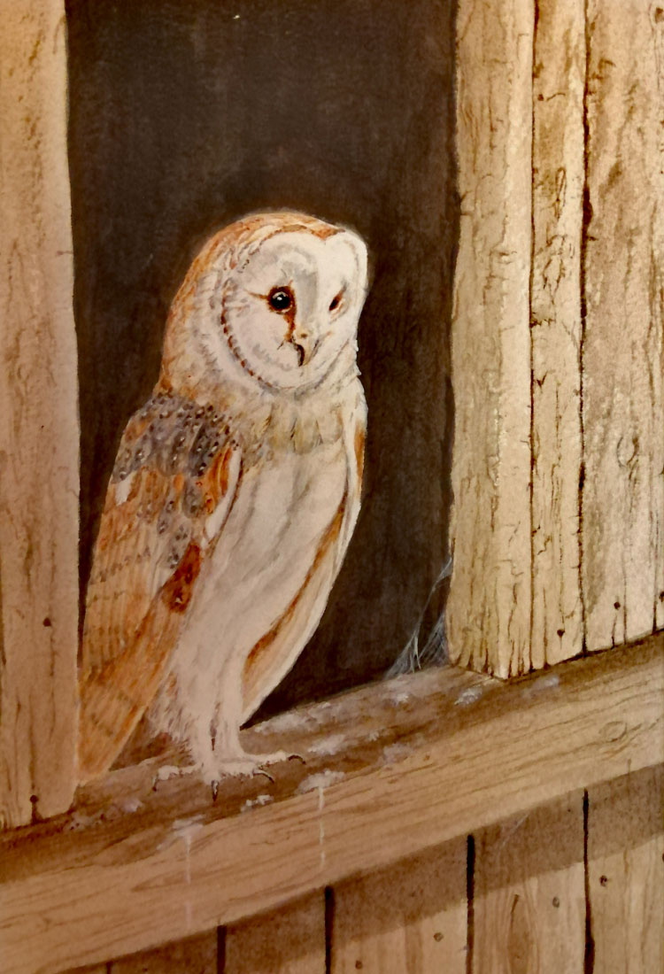 john-tydsley-owl-painting