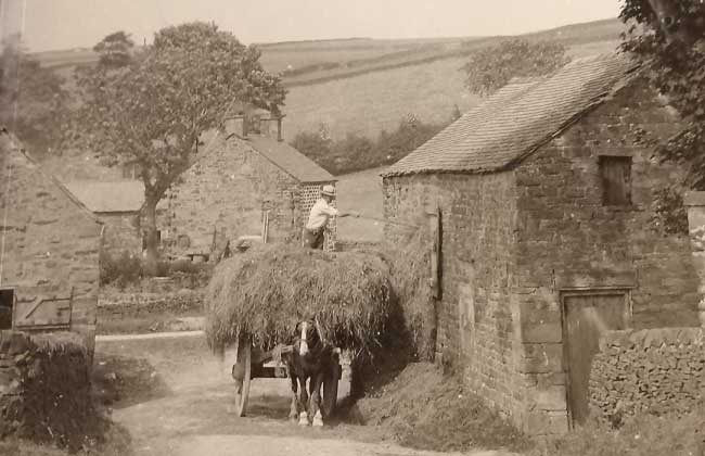 memories-of-a-moorland-farmer